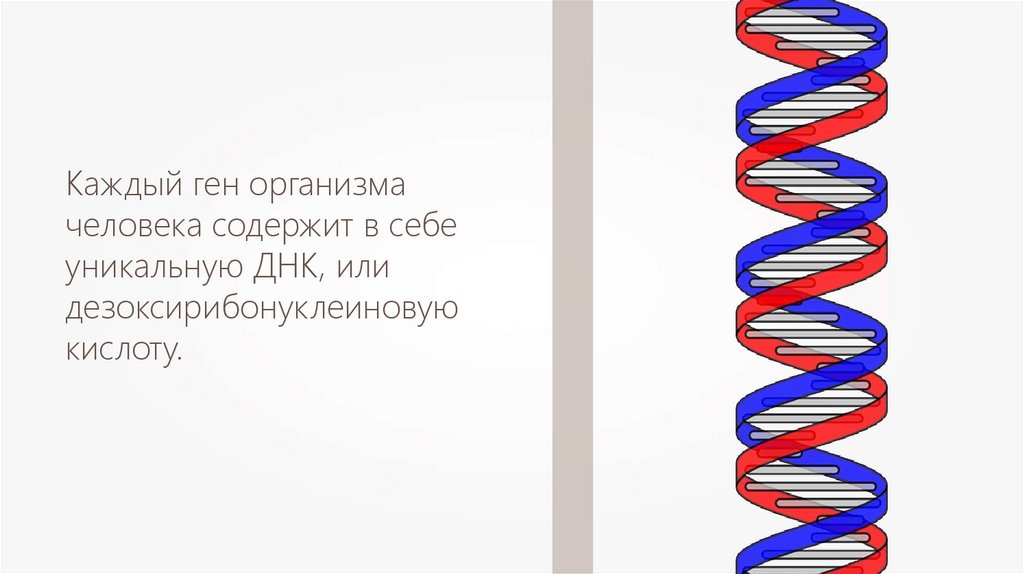 Генотип и здоровье человека презентация 9 класс пасечник