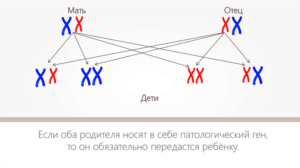 Генотип дегеніміз. Генотип и фенотип. Фенотип схема. Генотип пример. Понятие о генотипе и фенотипе.