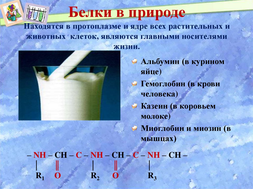 Белки в жизни человека презентация