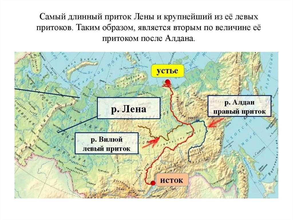 Притоки лены список. Исток реки Лена на карте. Река Лена на карте от истока до устья.