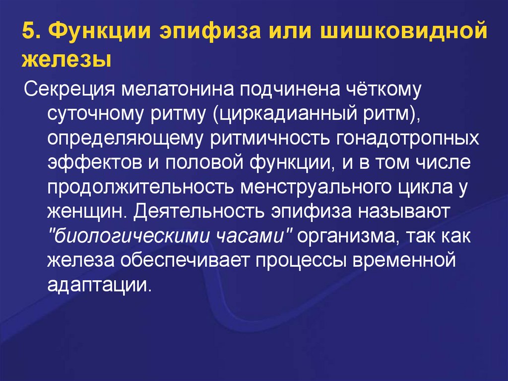 Функции эпифиза. Циркадные ритмы щитовидной железы. Эпифиз циркадианные ритмы. Гипофиз и эпифиз функции. Шишковидная железа функции.