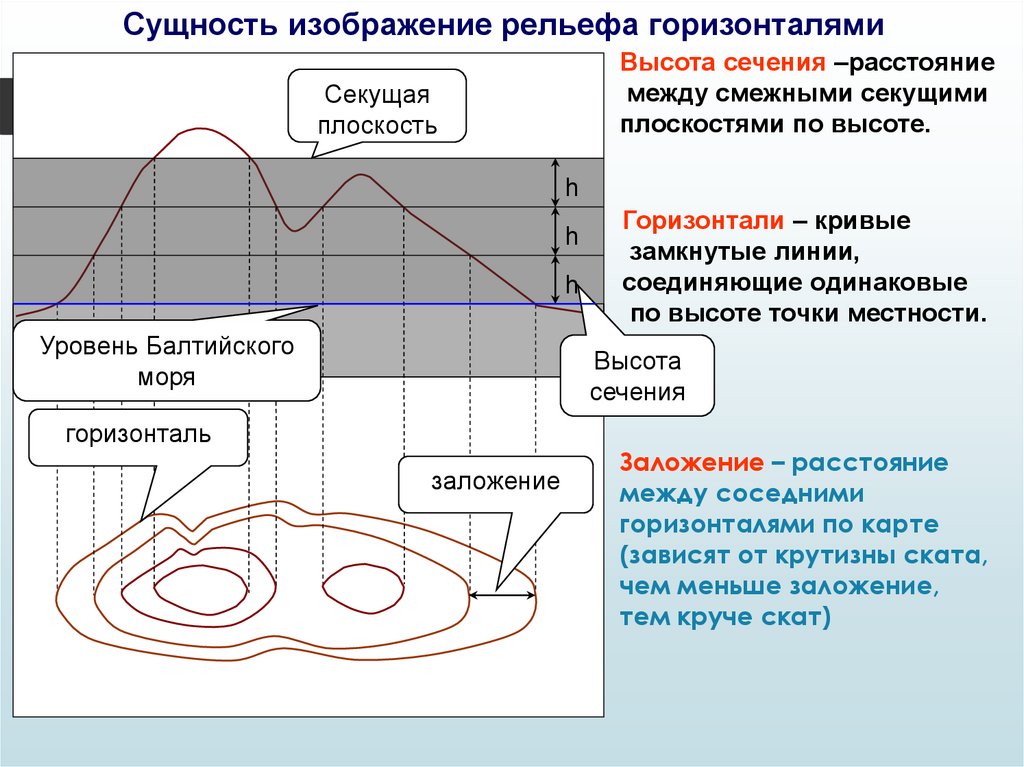 Рельеф местности какой фактор среды