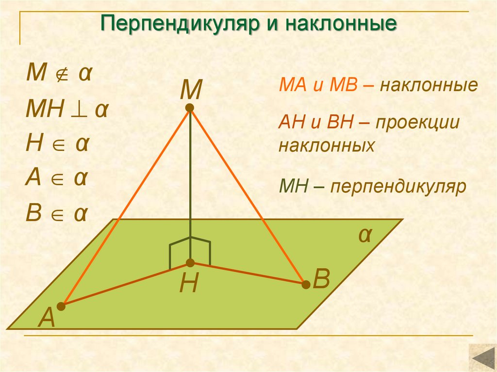 Сколько перпендикуляров можно провести к прямой