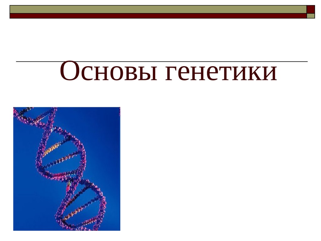 Генетика человека 10 класс биология презентация. Основы генетики. Основы генетики презентация. Основы генетики человека. Презентация по генетике.