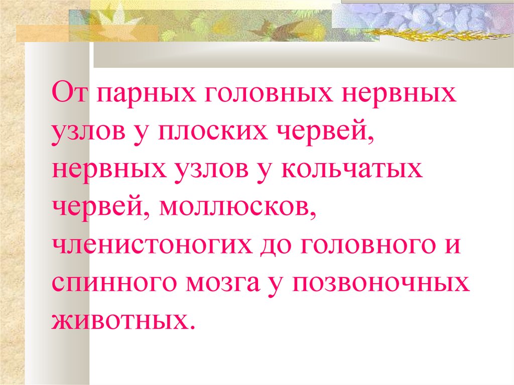 Органы чувств регуляция деятельности организма 7 класс презентация