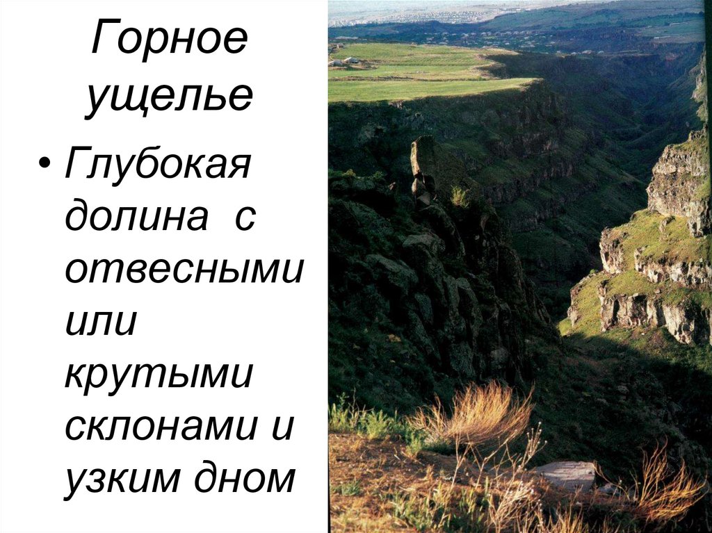 Что означает гори