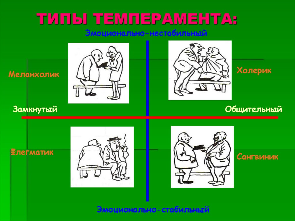 Тип темперамента по белову. Тип темперамента по белову