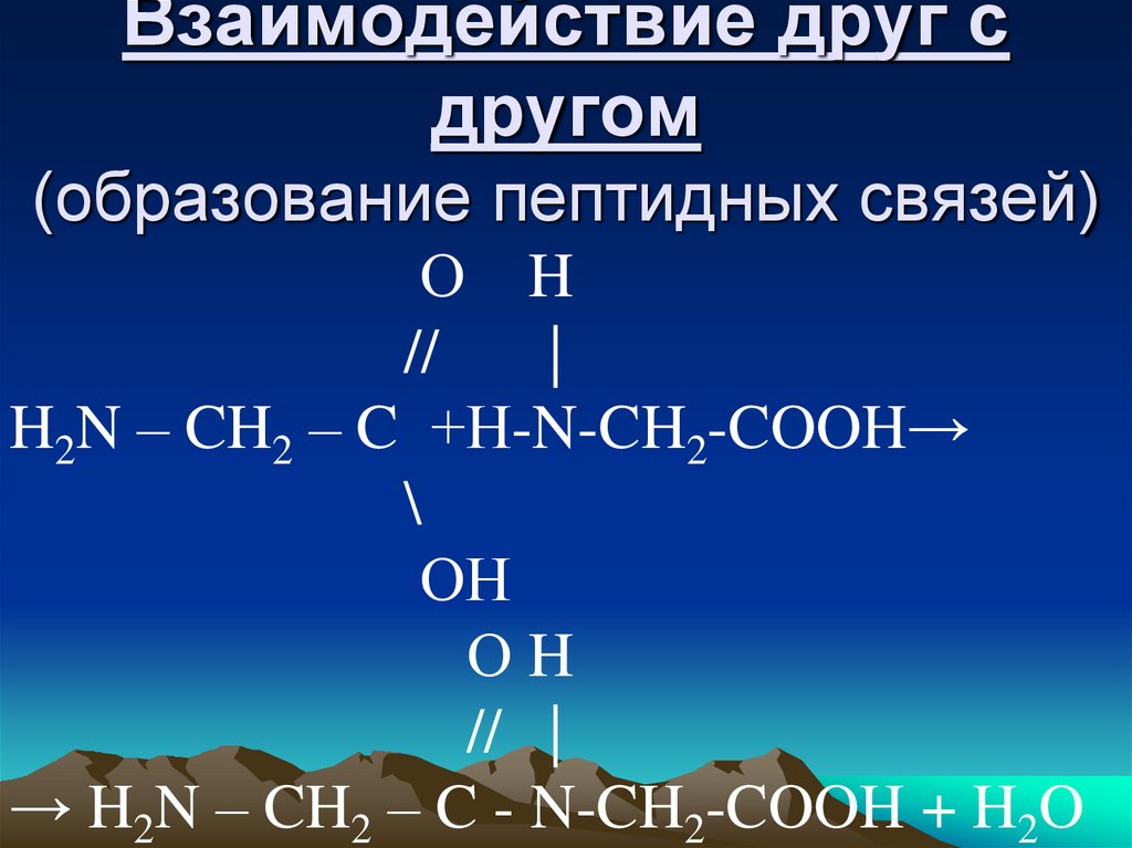Взаимодействие друг с другом (образование пептидных связей)