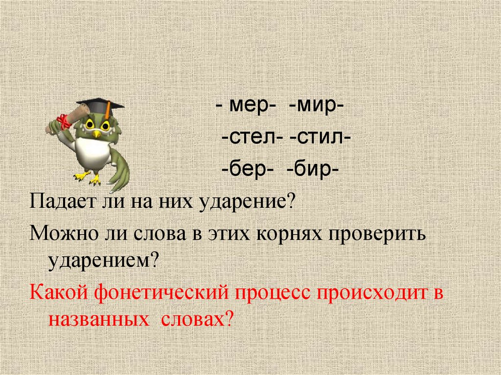 Стел стила. Мер мир стел стил. Корни мер мир. Слова с корнем мер мир. Мер мир чередование.