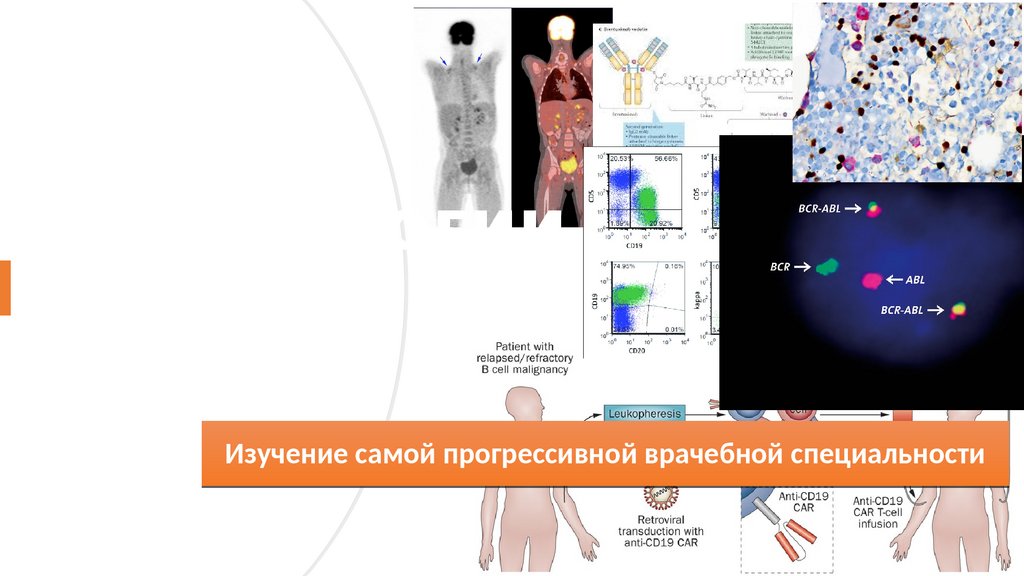 СНО кафедры гематологии, трансплантологии и трансфузиологии ...