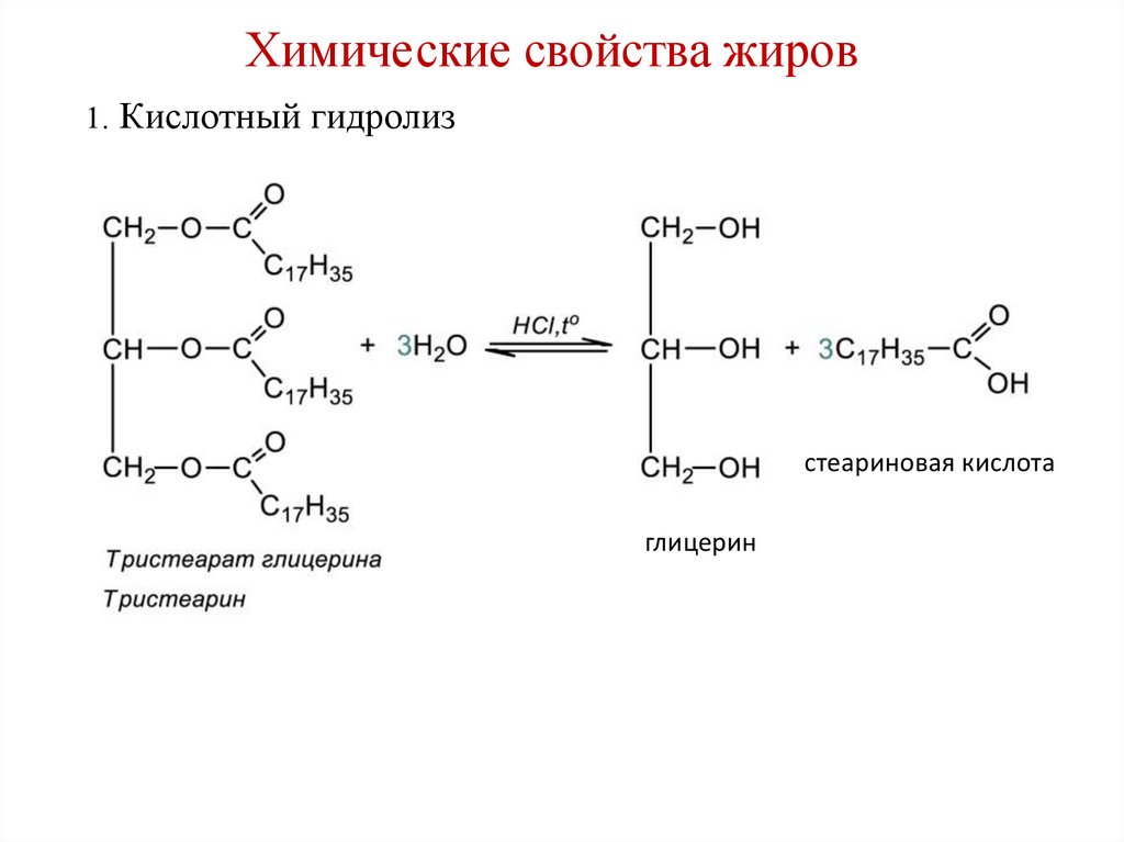 Жиры состоят из аминокислот