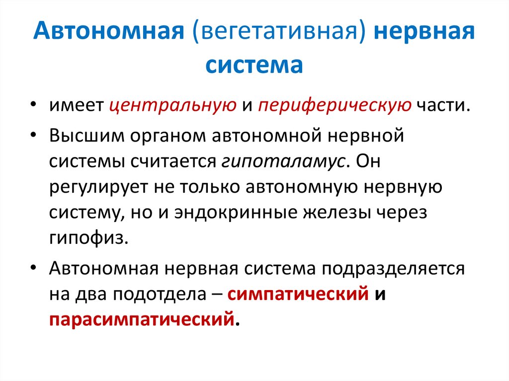 Схема строения автономной нервной системы