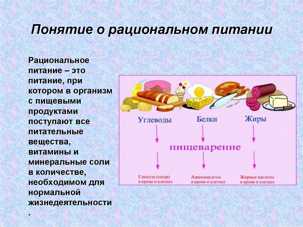 Рациональное питание презентация 9 класс