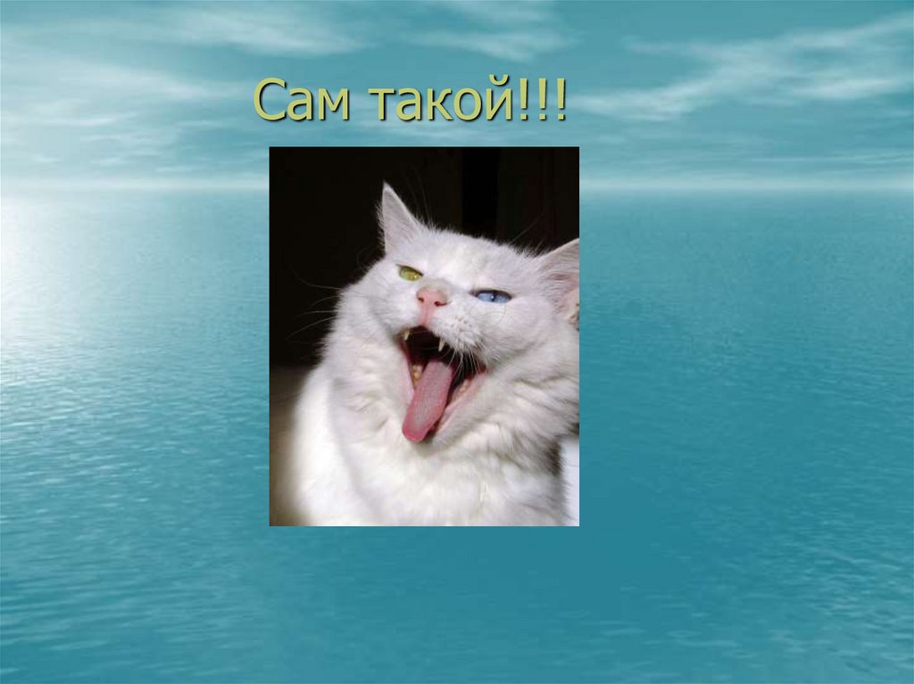 Сам такой!!!