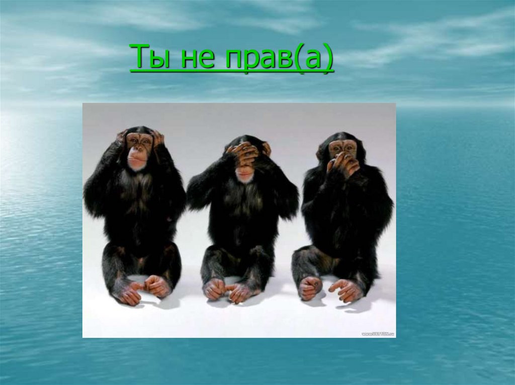 Ты не прав(а)