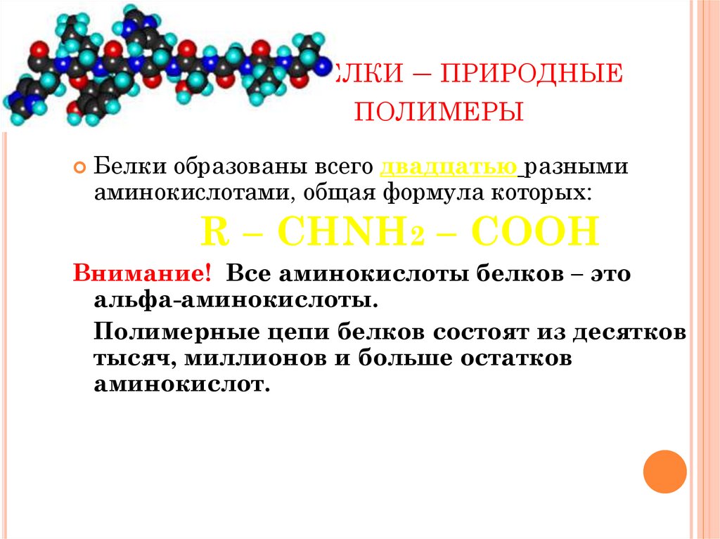 Природные полимеры формула. Белки природные полимеры. Природные полимеры. Природный белок.