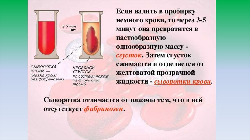 Этапы свертывание крови - презентация онлайн