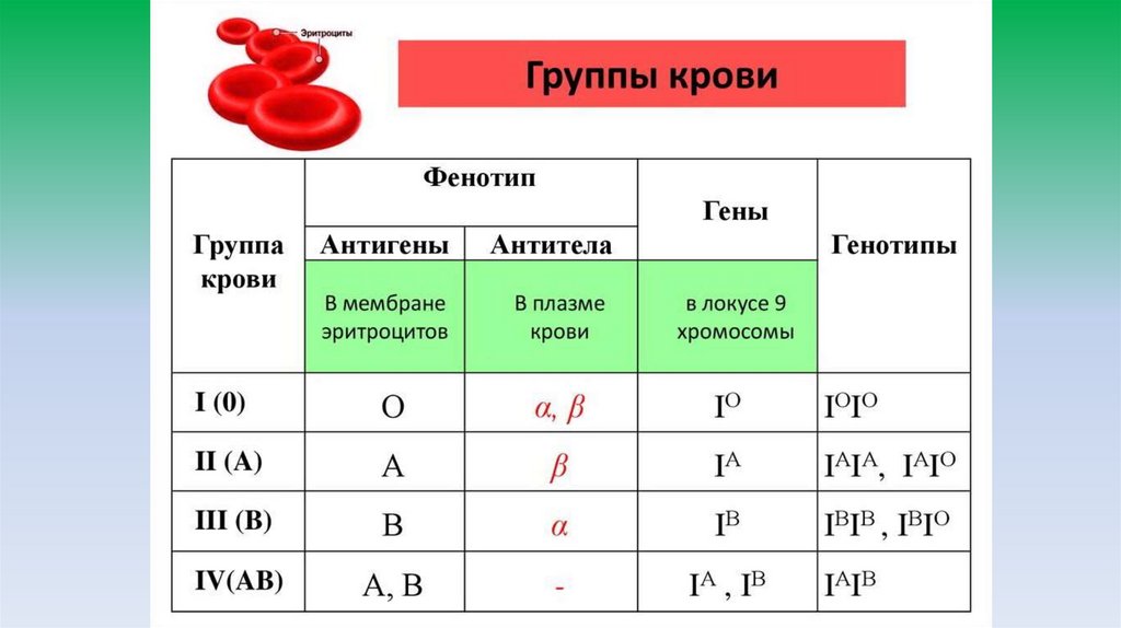 Этапы свертывание крови - презентация онлайн