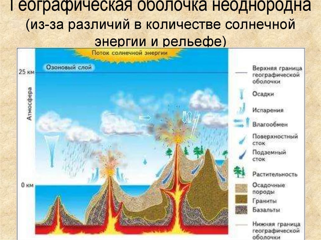 Какая оболочка не включена в географическую оболочку. Схема географической оболочки. Развитие географическая оболочка схема.