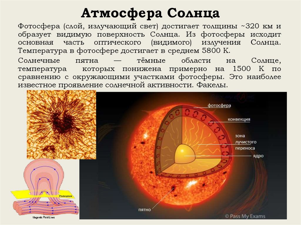 Солнечная атмосфера и солнечная активность. Таблица Фотосфера хромосфера Солнечная корона. Строение солнечной атмосферы Фотосфера. Строение солнца Фотосфера хромосфера корона. Строение атмосферы солнца.