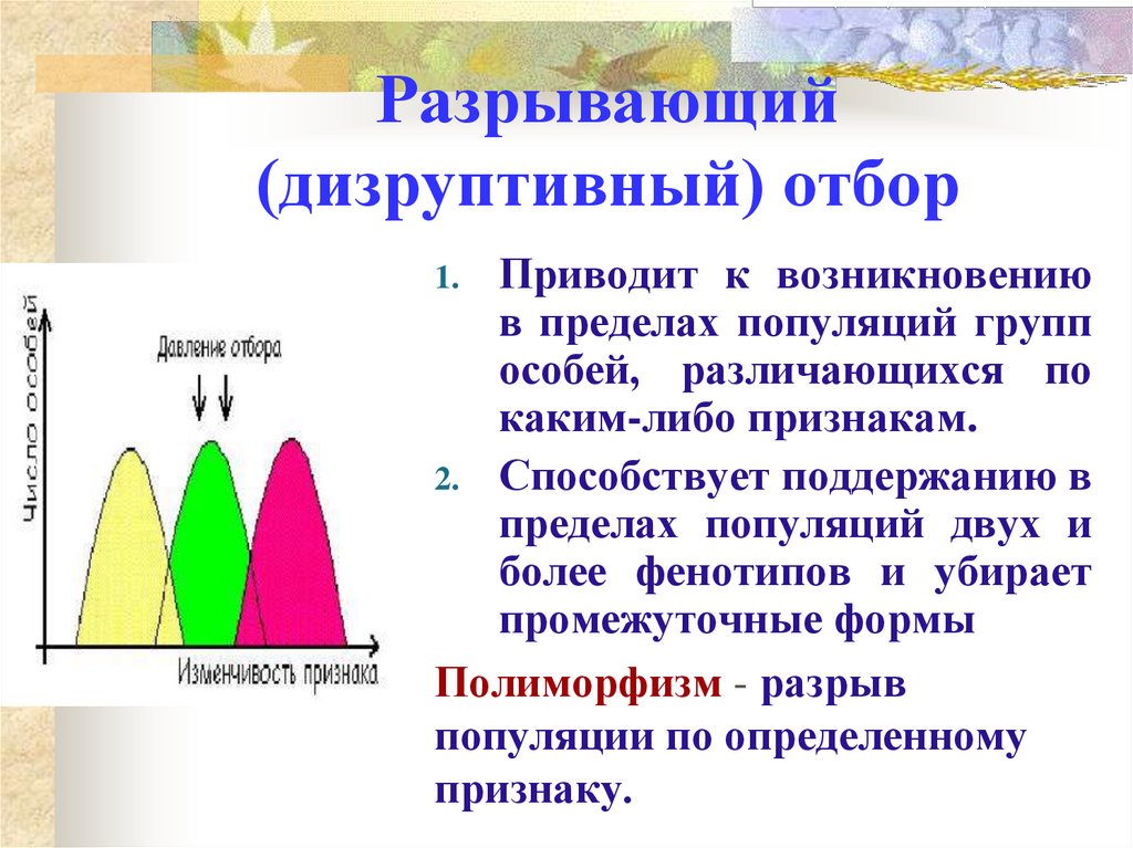 Определите какие диаграммы соответствуют приведенным ниже описаниям форм естественного отбора