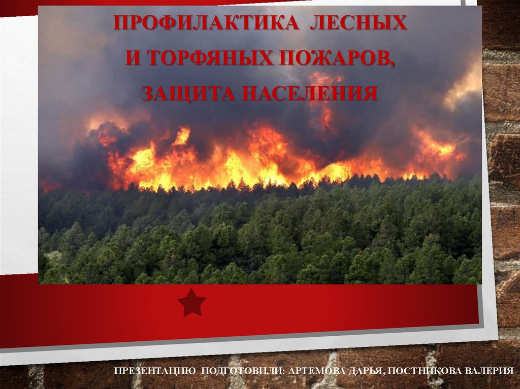 Профилактика лесных пожаров защита населения