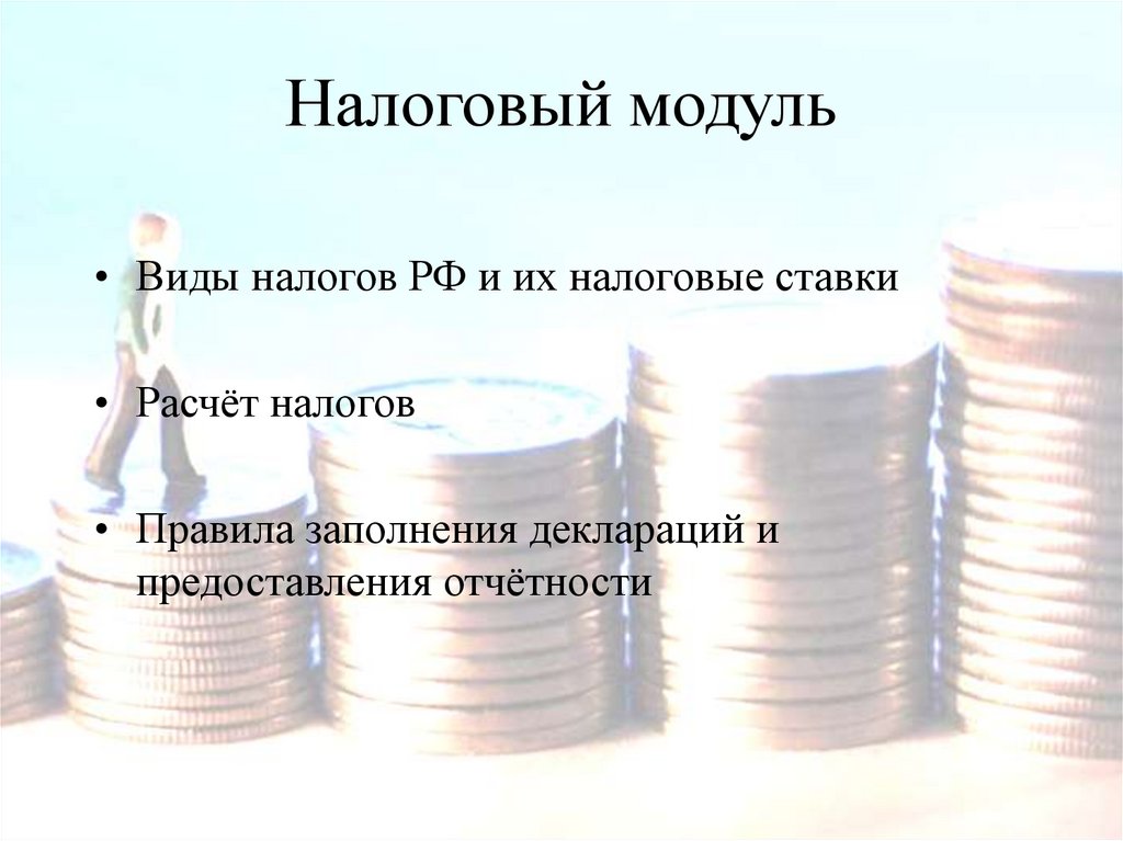 Налоговый модуль