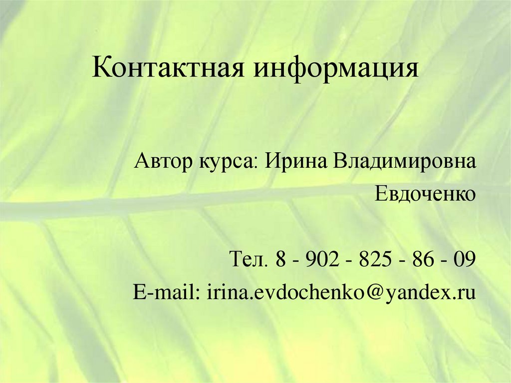 Контактная информация