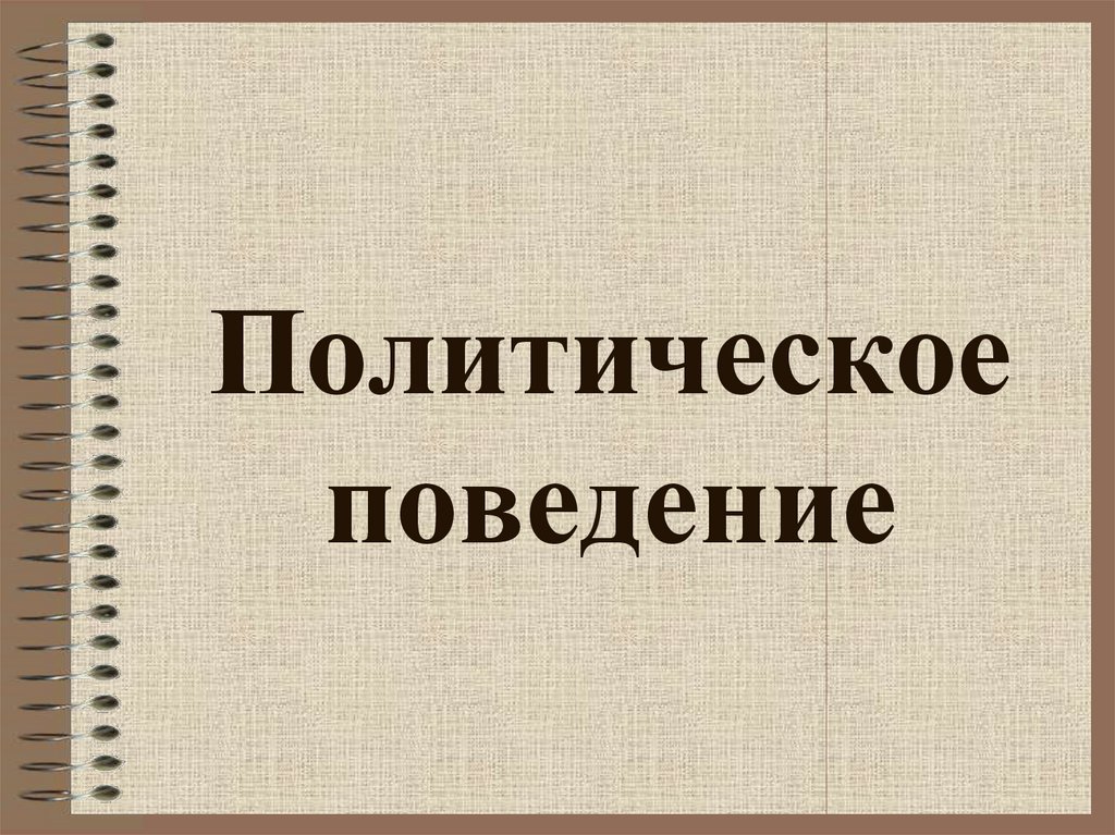 Политическое поведение