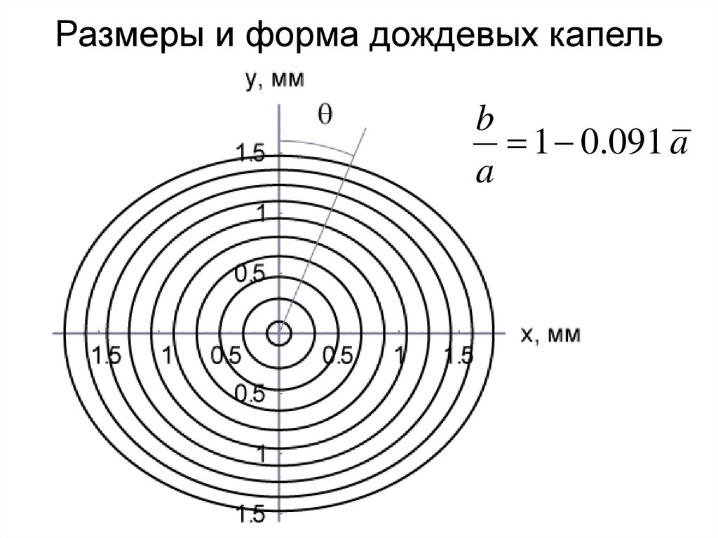 Распределение размеров