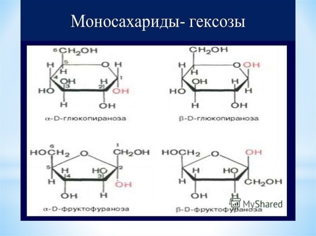 Обмен углеводов - презентация онлайн
