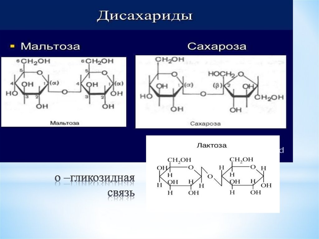 o –гликозидная связь