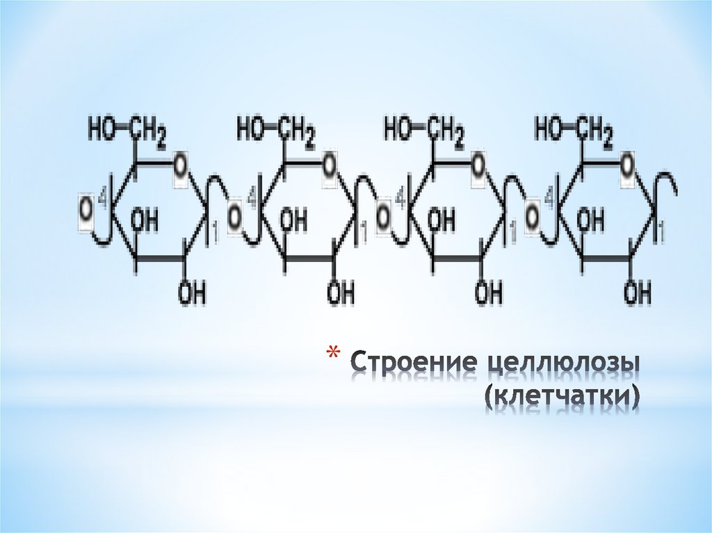 Строение целлюлозы (клетчатки)