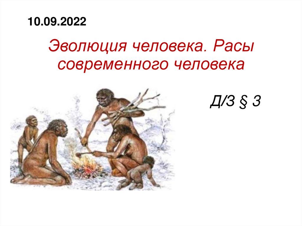 Эволюция современного человека презентация 11 класс