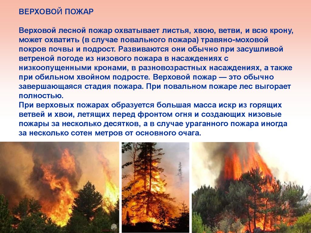 Природные пожары кратко. Верховой пожар. Экологические Лесные пожары. Презентация на тему пожар в лесу. Влияние пожаров на окружающую среду.