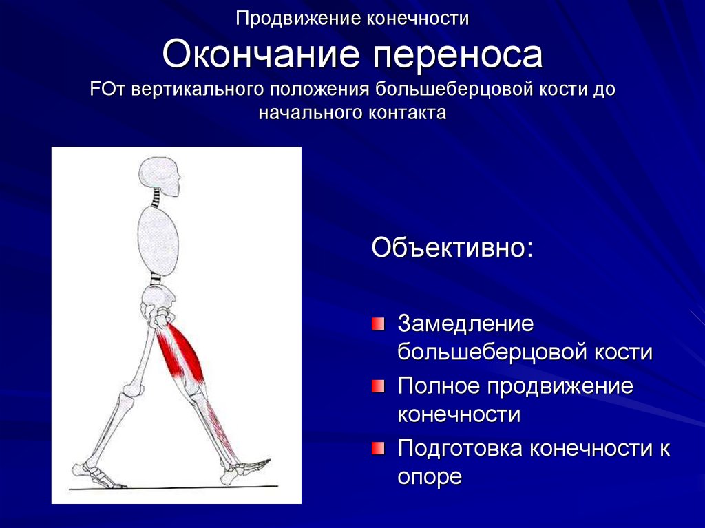 Презентация про переломы