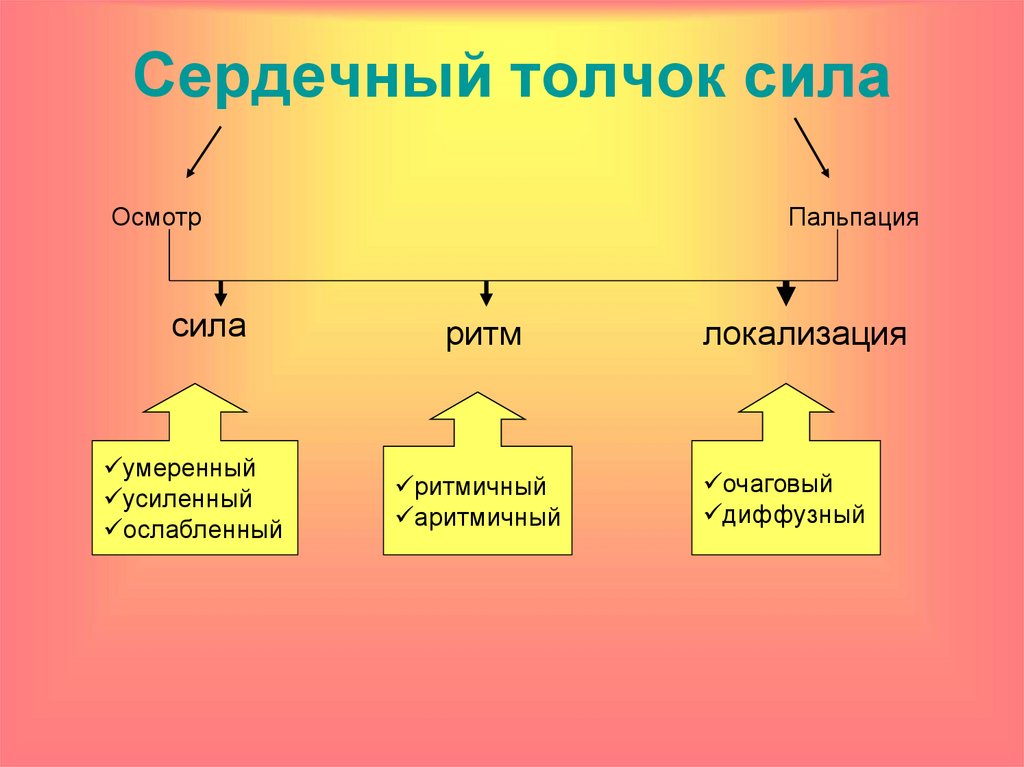 Сердечный толчок