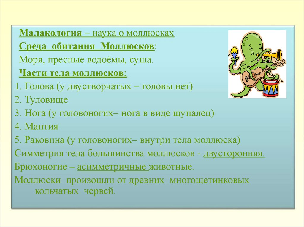 Лабораторная работа строение моллюсков. Лабораторная работа по биологии моллюски. Лабораторная работа изучение строения раковин моллюсков. Лабораторная работа строение раковины моллюска 7 класс.