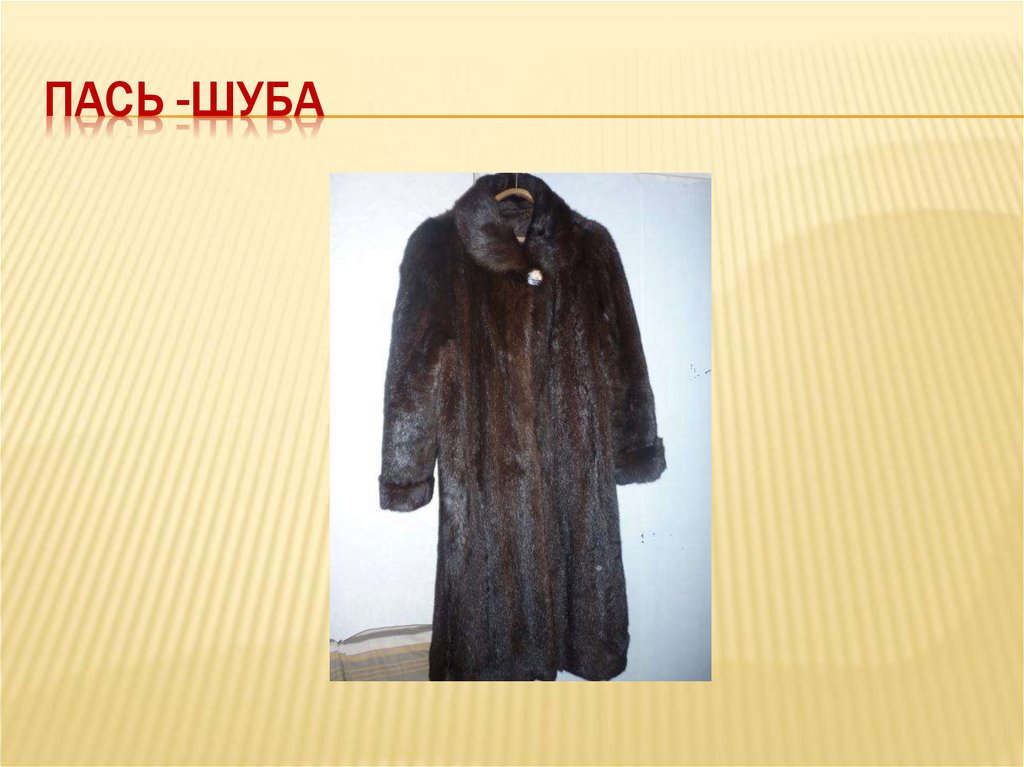 Пась -шуба