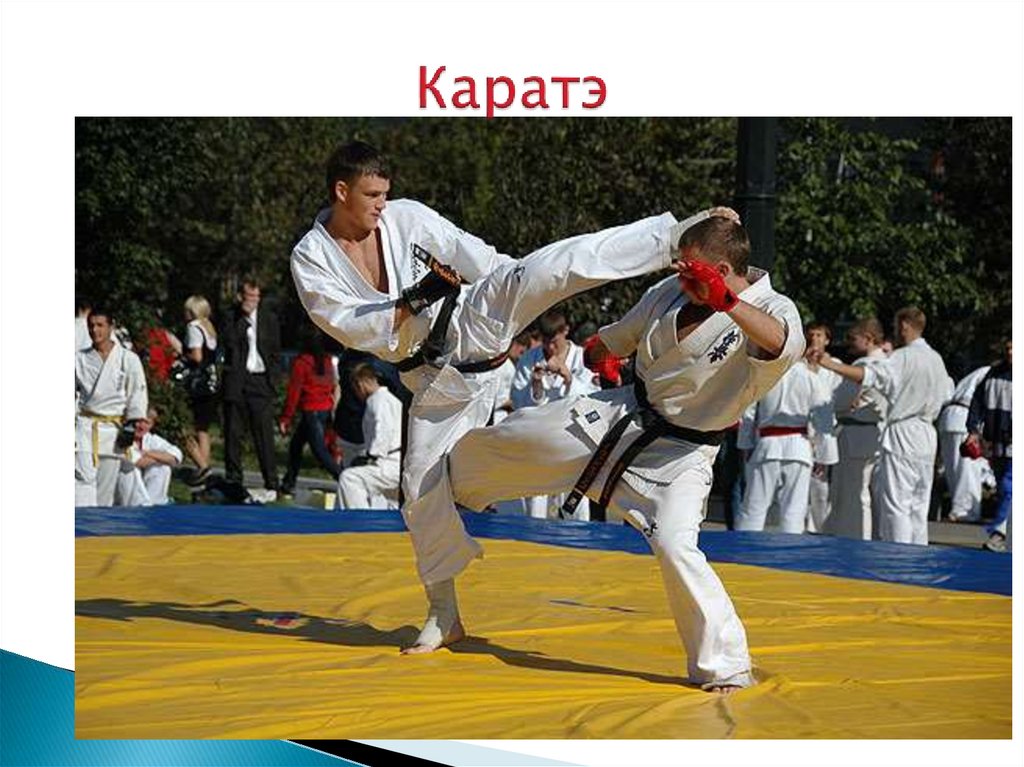 Истинных боевых искусств 2. Какой спорт лучше бокс или каратэ. Karate AZE Federation geyim.