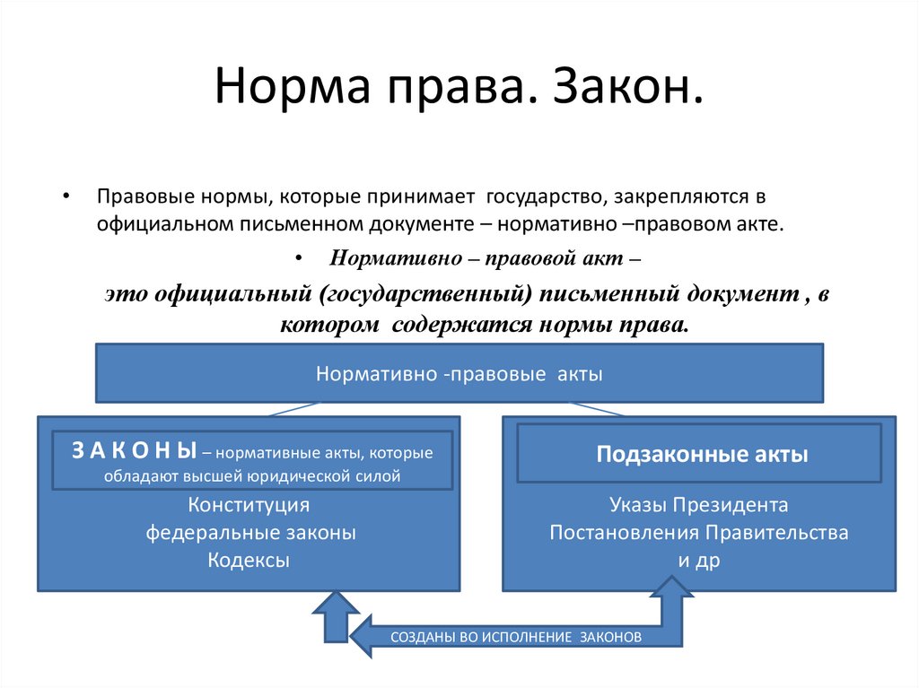 Ооо право норм. Правовая норма виды правовых норм. Нормы законов примеры.