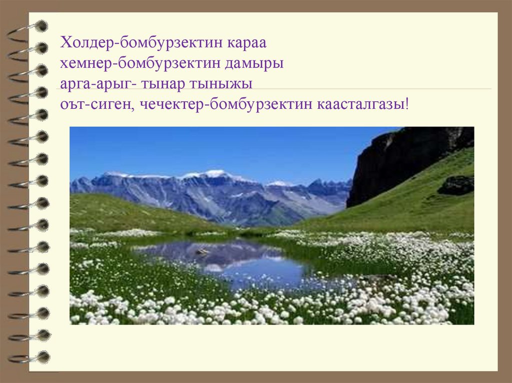 Холдер-бомбурзектин караа хемнер-бомбурзектин дамыры арга-арыг- тынар тыныжы оът-сиген, чечектер-бомбурзектин каасталгазы!