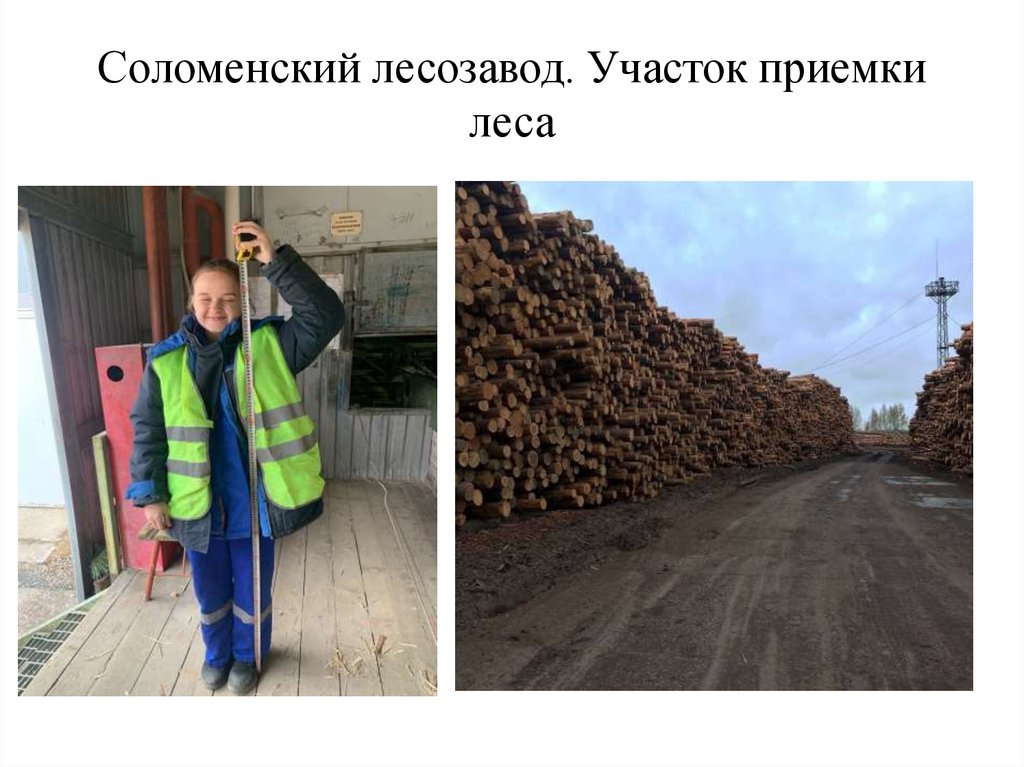 Учебная практика - презентация онлайн