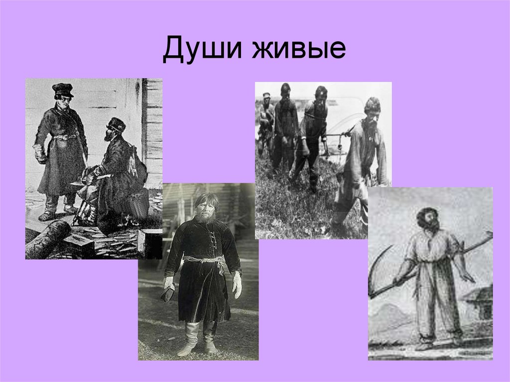 Души живые