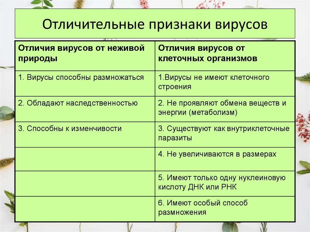 Отличительной чертой вирусных программ является их