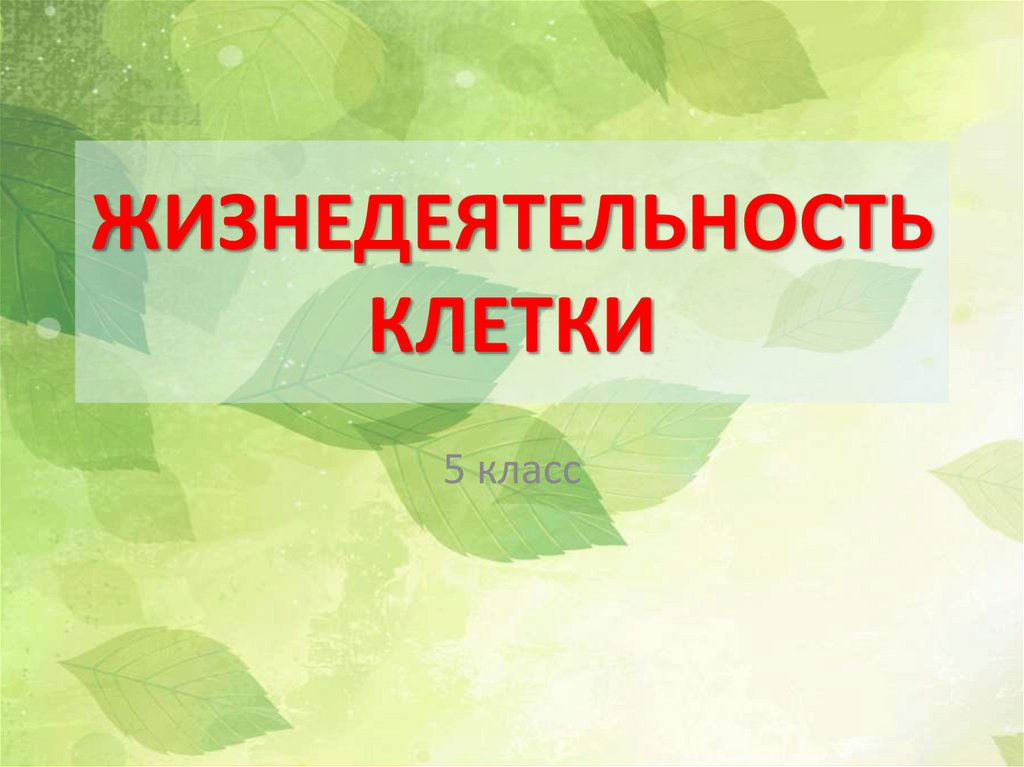 Жизнедеятельность клетки 5 класс биология презентация