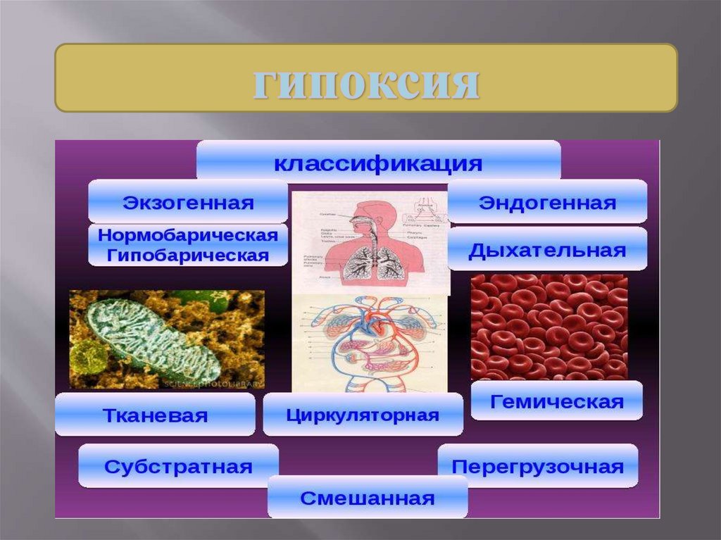 Гипоксия клиническая картина