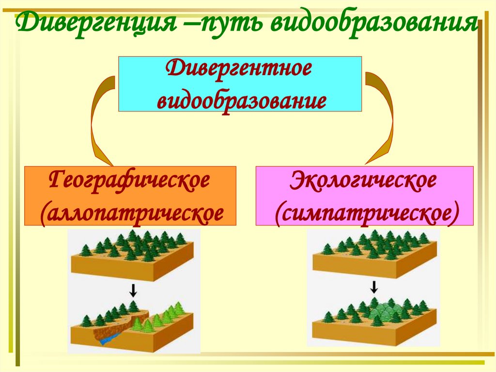 Факторами видообразования являются. Этапы видообразования биология 9 класс. Схема видообразования. Видообразование таблица. Этапы экологического видообразования.