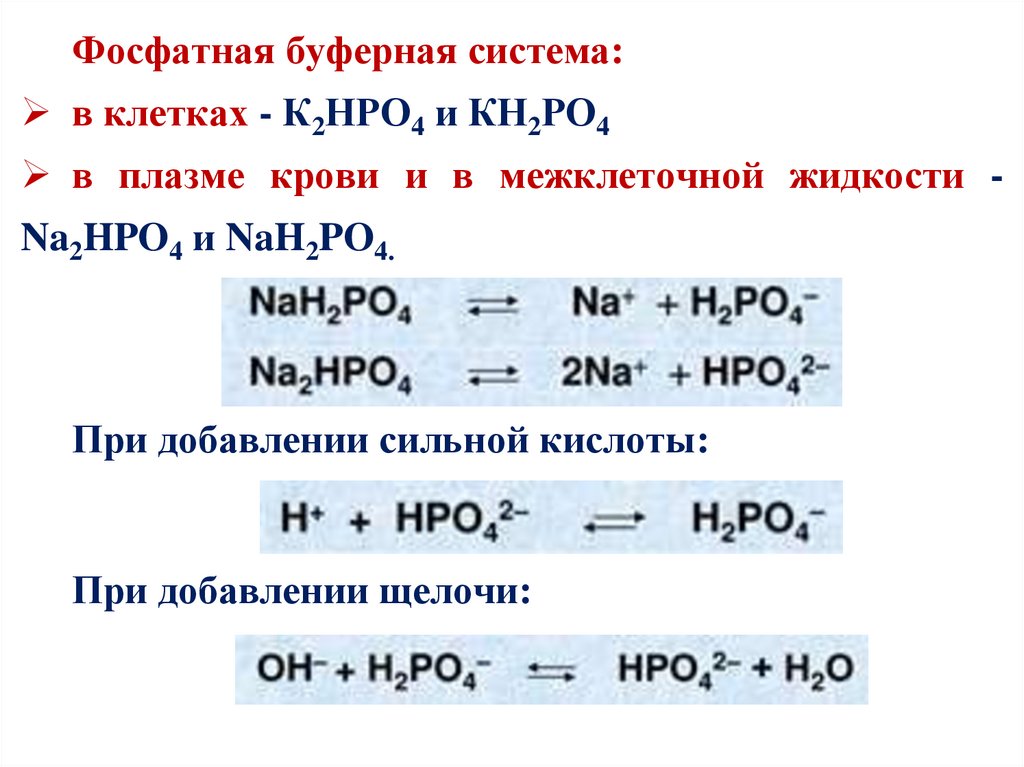 Презентация буферные системы