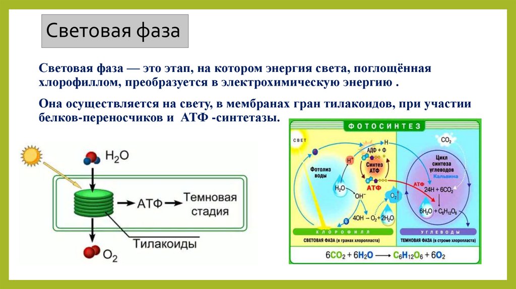 Использование световой энергии